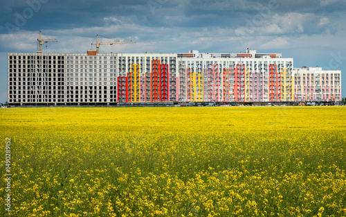 landscape view to blooming rapeseed field and high houses on horizon in spring day 