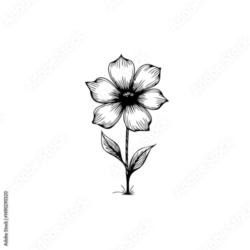 Delicate monochrome floral sketch featuring a stylized blossom with detailed shading