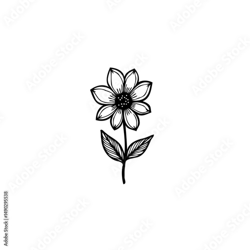 Elegant floral sketch portraying a simple, nature-inspired botanical illustration