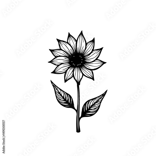 Elegant Sunflower Blossom Sketch: A Study in Botanical Simplicity and Detail