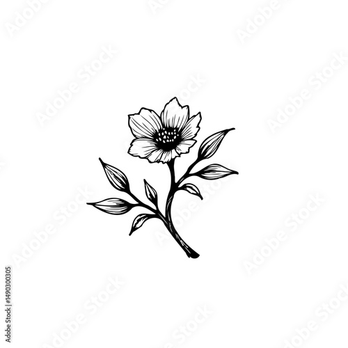 Elegant botanical illustration of a blossoming flower branch with leaves in minimalist style