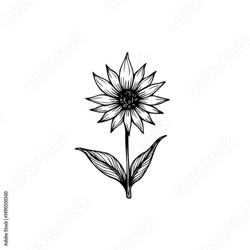 Elegant Sunflower Illustration: A Study in Botanical Simplicity and Delicate Detail