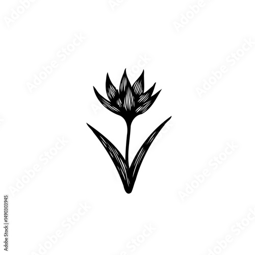Minimalist monochrome floral illustration exhibiting symmetrical petal structure