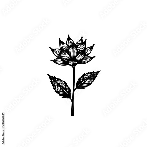 Monochromatic floral illustration featuring a blossoming bloom and detailed linework