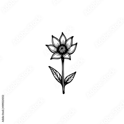Elegant floral drawing with delicate petals and leaves in monochrome simplicity