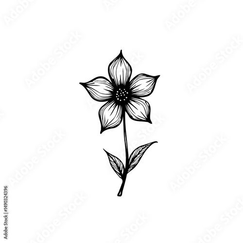 Elegant floral botanical illustration with delicate petals in minimalist style