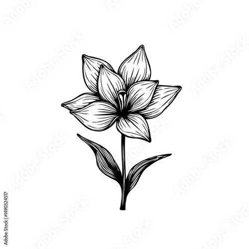 Elegant botanical illustration: stylized flower with delicate line work and charm