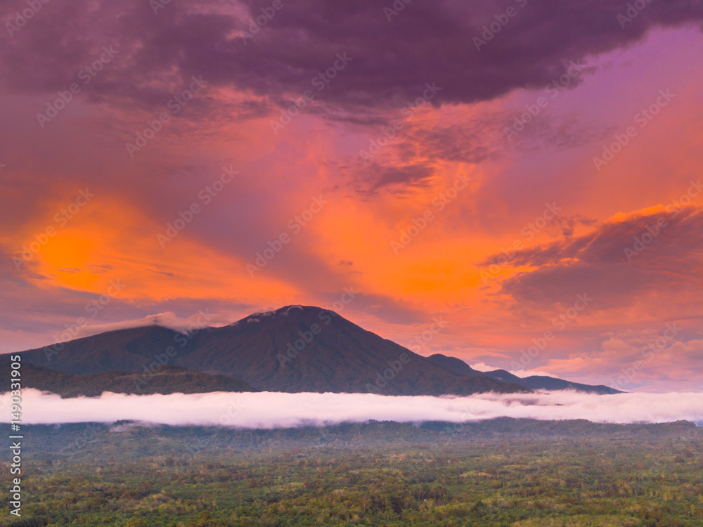 Obraz premium beautiful morning view panorama of indonesia agriculture industry rice fields with beautiful sky colors natural light