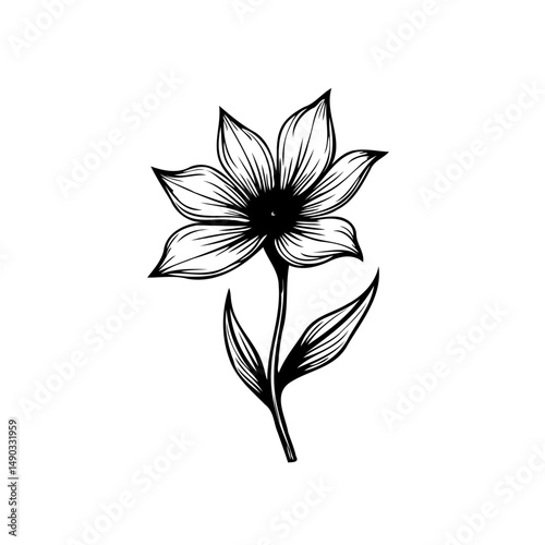 Elegant botanical illustration: a single flower with delicate petals and leaves