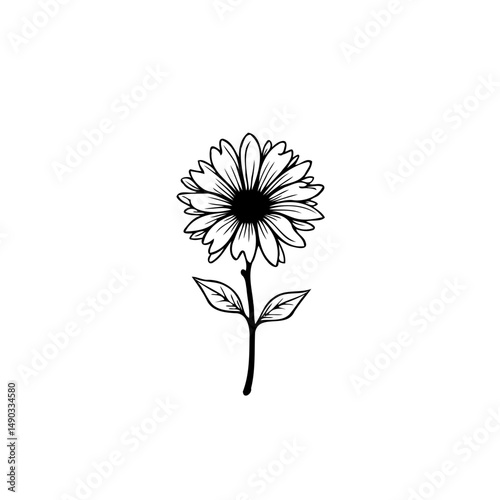 Elegant single daisy illustration on white background, perfect for decorations