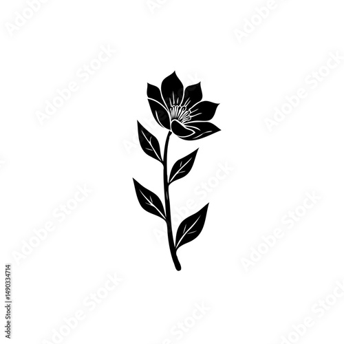 Elegant botanical illustration of a flowering plant with detailed petals and leaves