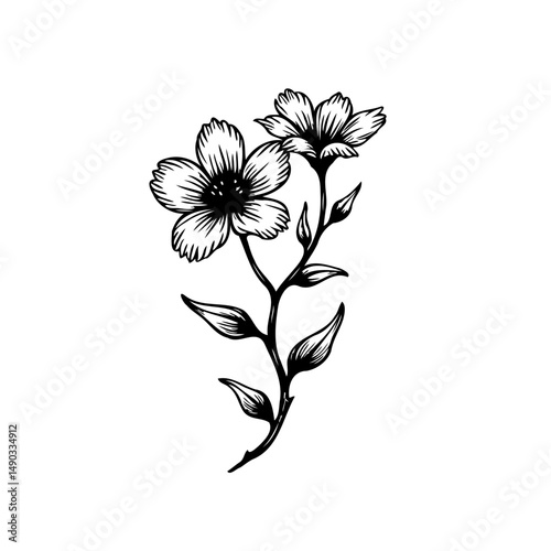 Floral sketch: delicate blossoms on a sinuous stem, captured in monochrome elegance