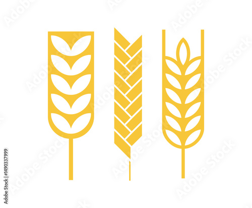 Cereal ear or spike outline icons. Wheat, rye, barley and millet vector natural grains. Yellow plant stalk for bread baking, isolated bakery, harvest and agriculture industry symbols. farm grains