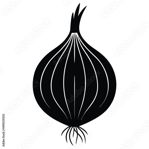 a bulbous onion with a distinct root base