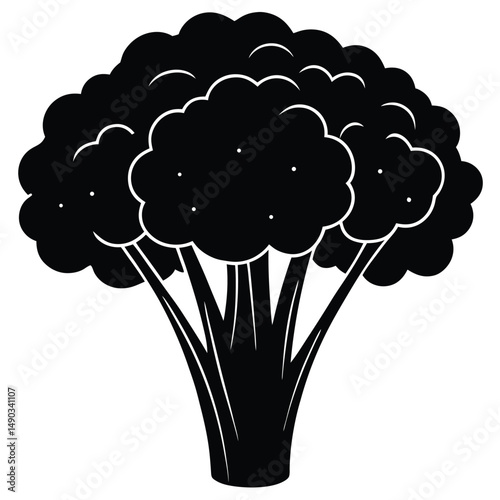 a full bunch of broccoli with its thick stalk and florets