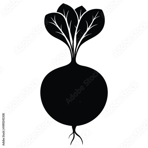 a round beetroot with a leafy top and long roots