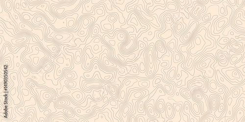 Abstract topography a seamless flow of organic topographic map the concept of a conditional geography scheme and the terrain path topo contour map design.