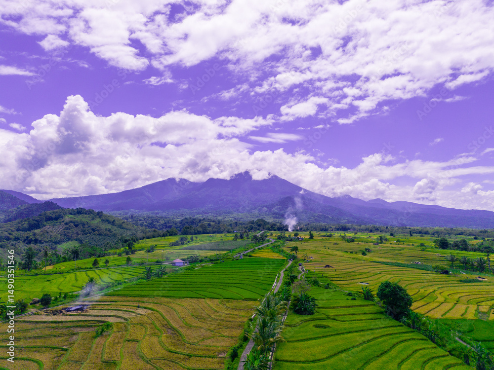 Fototapeta premium beautiful morning view indonesia panorama landscape paddy fields with beauty color and sky natural light