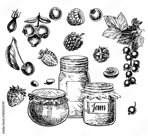 Fruit jam glass jar and jam in potted. Jelly and marmalade with strawberry, cherry, blueberry, raspberries, currant. Berry jam. Hand drawn illustration. Sketch vintage objects for label, packaging