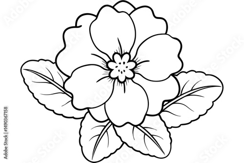 primrose flower silhouette line art vector illustration with a white background