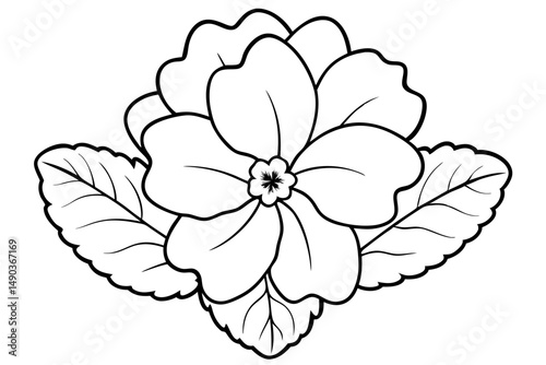 primrose flower silhouette line art vector illustration with a white background