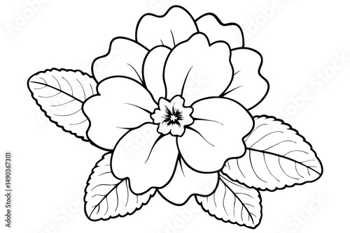 primrose flower silhouette line art vector illustration with a white background