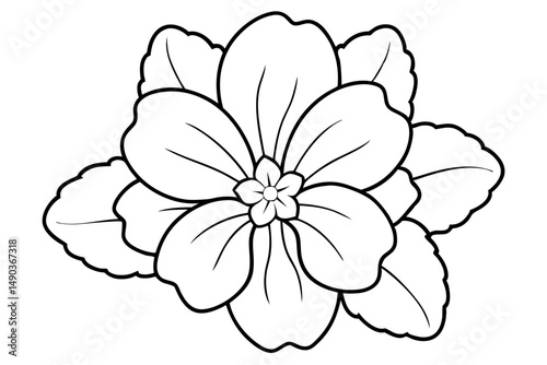 primrose flower silhouette line art vector illustration with a white background