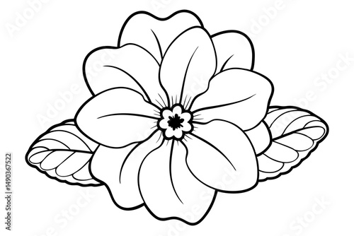 primrose flower silhouette line art vector illustration with a white background