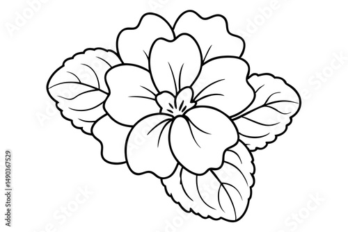 primrose flower silhouette line art vector illustration with a white background