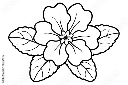 primrose flower silhouette line art vector illustration with a white background