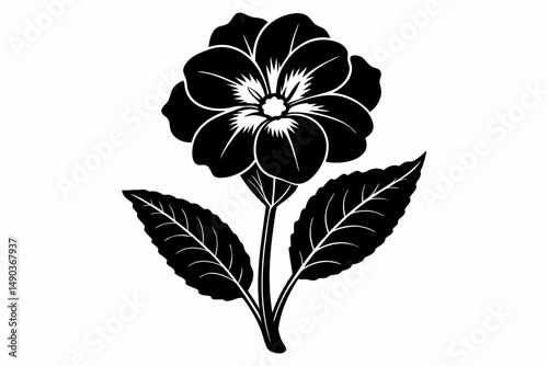 primrose flower silhouette line art vector illustration with a white background