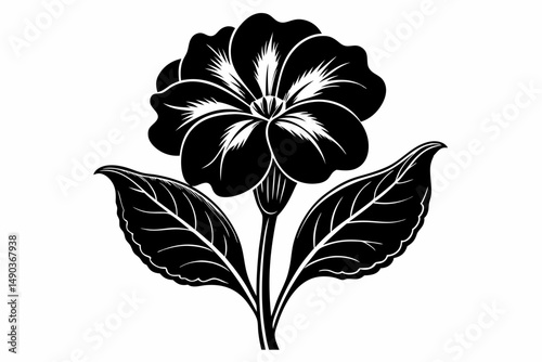primrose flower silhouette line art vector illustration with a white background