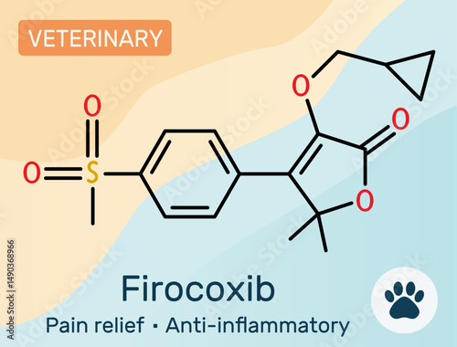 Firocoxib molecule. Veterinary NSAID for pain and inflammation treatment