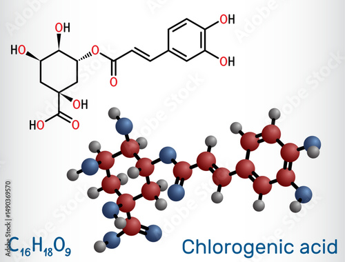Chlorogenic acid molecule. Chemical structure of plant-based polyphenol antioxidant