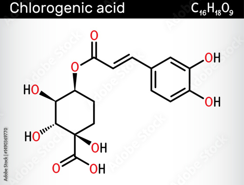 Chlorogenic acid molecule. Chemical structure of plant-based polyphenol antioxidant