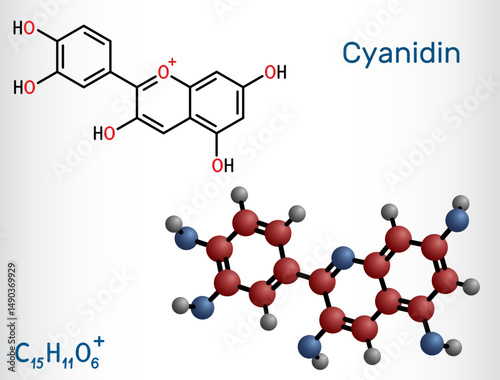 Cyanidin molecule. Cationic anthocyanidin pigment found in berries and plants.