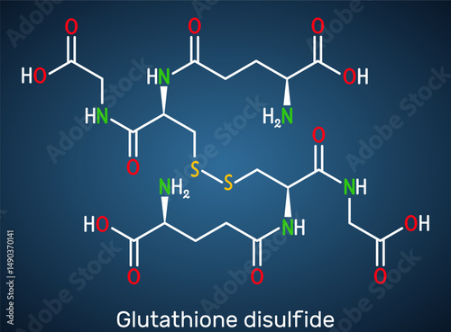 Glutathione disulfide, GSSG molecule. Oxidized form of glutathione antioxidant. Skeletal chemical formula, dark blue background
