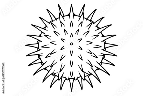 sea urchin silhouette line art vector illustration with a white background