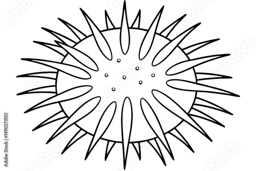 sea urchin silhouette line art vector illustration with a white background