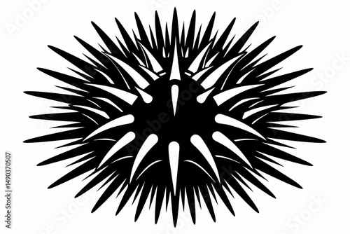 sea urchin silhouette line art vector illustration with a white background