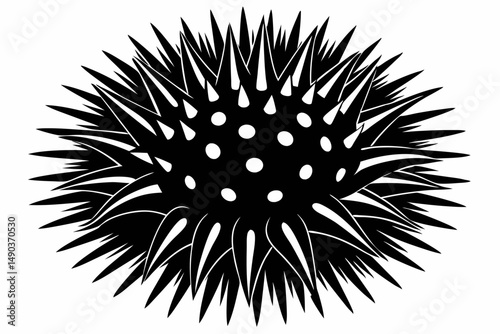 sea urchin silhouette line art vector illustration with a white background