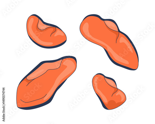 Unshelled mussels scattered 2D cartoon object. Peeled seafood cooked ingredient. Marine delicacy. Protein source. Abalone mollusks isolated element flat vector clip art on white. Spot illustration
