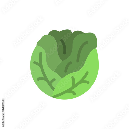 Stylized flat green lettuce head illustration, healthy eating concept icon