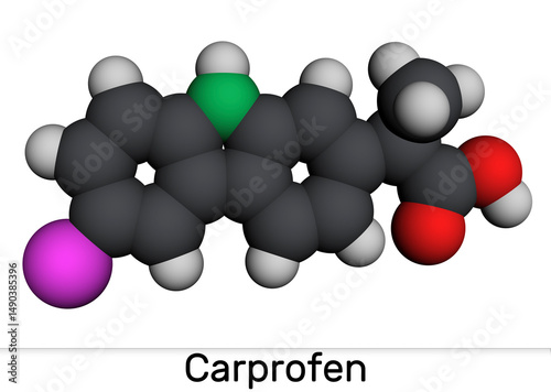 Carprofen NSAID molecule structure, nonsteroidal anti-inflammatory drug used as a veterinary medicine. Molecular model. 3D rendering photo