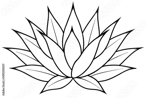Agave Plant Vector Illustration
