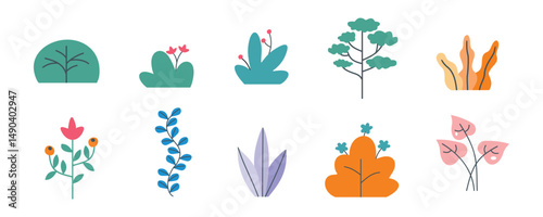 Floral Illustration Set