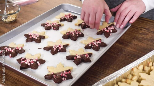 Festive Cookie Packaging with Chocolate-Dipped Christmas Delights