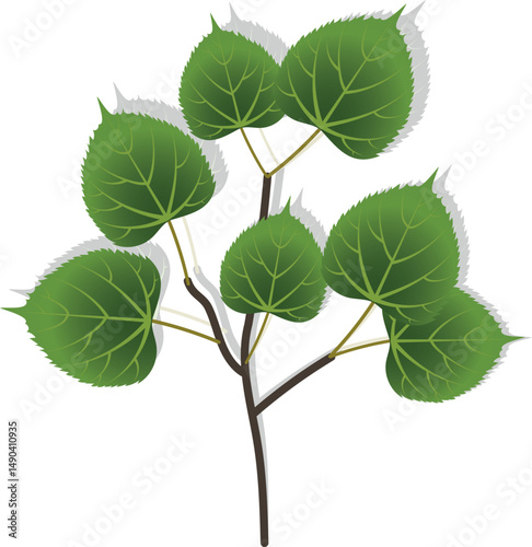 Tree branch with leaves on white background. Vector illustration.
