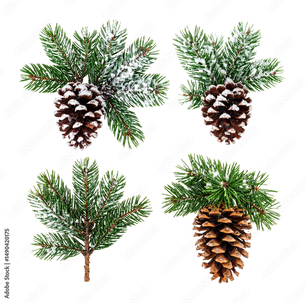 Fototapeta premium Snowy Pinecones Adorned with Glistening Needles on Green Twigs, Isolated on Transparent Background