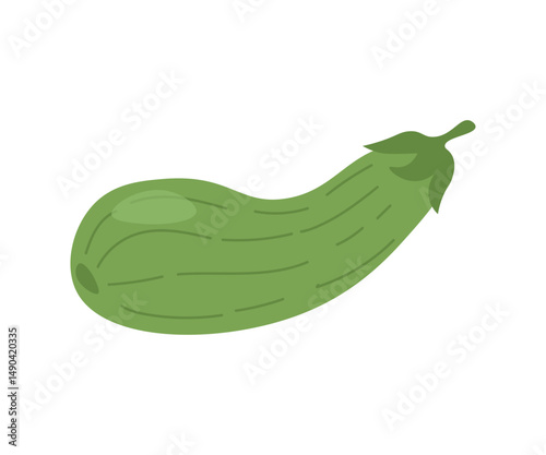 fresh green zucchini isolated on white	
